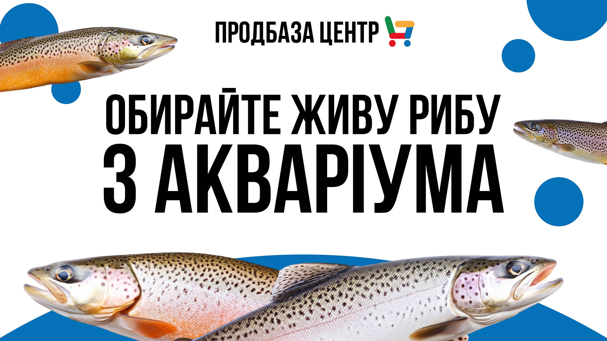 У Продбаза ви можете зібрати власний набір свіжої риби!