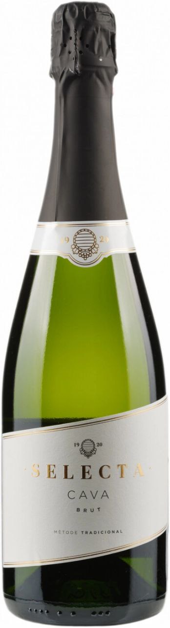 Вино ігристе Josep Masachs Selecta Cava Brut сухе біле 11.5% 0.75 л